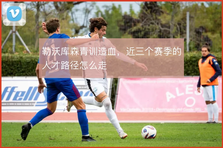 勒沃库森青训造血,近三个赛季的人才路径怎么走