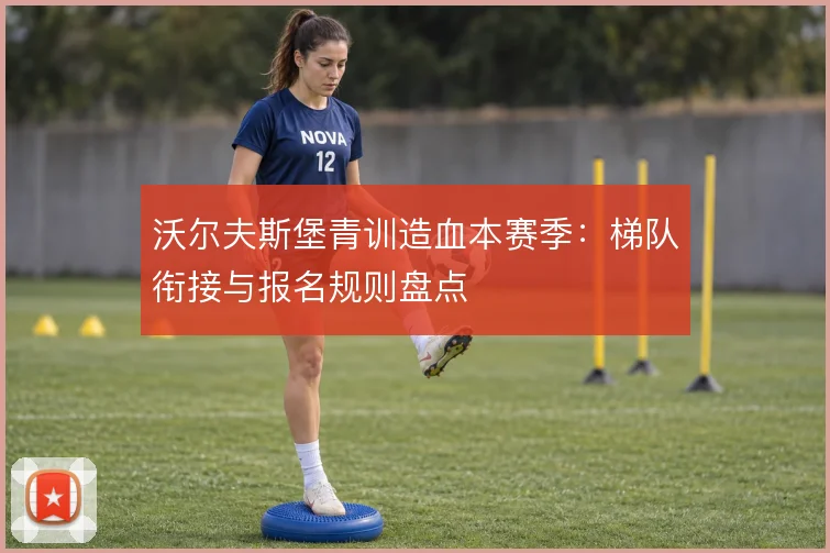 沃尔夫斯堡青训造血本赛季:梯队衔接与报名规则盘点
